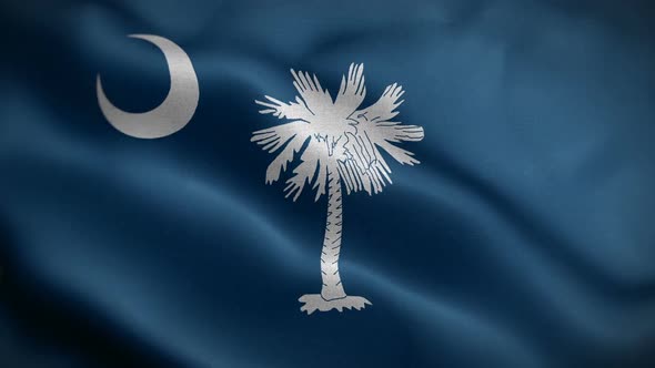 South Carolina State Flag Blowing In Wind