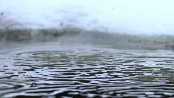 Rain Falling Into an Icy Puddle in Winter