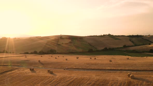 Infinite Yellow Hill at Sunset