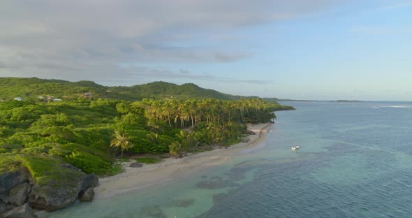 Aerial of green palm trees along beauty coast, Cap Chevalier, Sainte-Anne