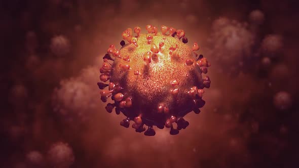 Coronavirus 3