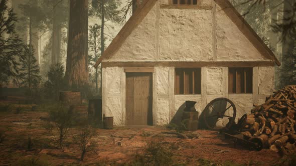 Old Wooden House in the Autumn Forest