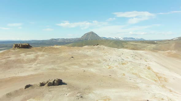 Raven Flies Over Hverir Geothermal Area. Iceland. Aerial View