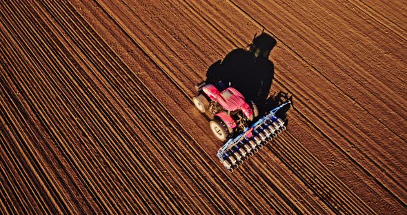 Tractor sowing soybeans with seed drill on plowed field