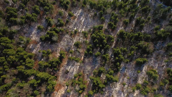 TOP DOWN aerial shot of a forest with long shadows after a late fall snow