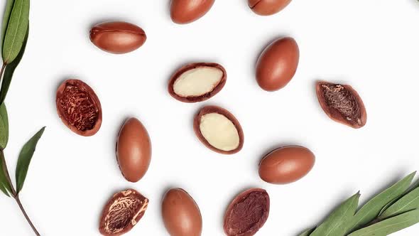 Argan Seeds on a White Background