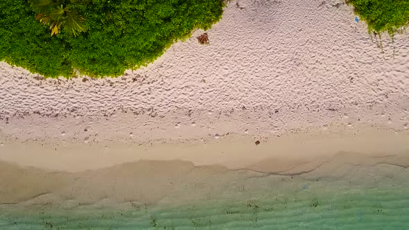 Aerial view scenery of tropical coastline beach wildlife by ocean with sand background