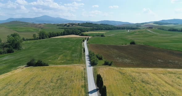 Aerial View of Road Cypress Tree on the Road Side