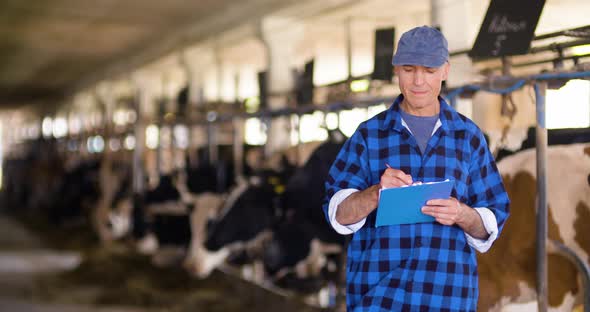 Farmer on Livestock Farm