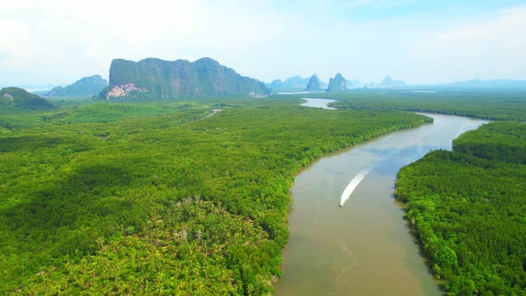 An aerial view over a large mangrove forest at Phang Nga Bay.