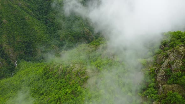 Nature Morning Fog Clouds Mountain Green Forest Beautiful Aerial Top View Summer Landscape