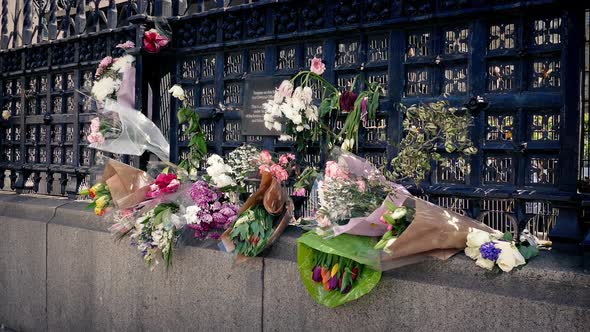 Flowers on Railings in the City