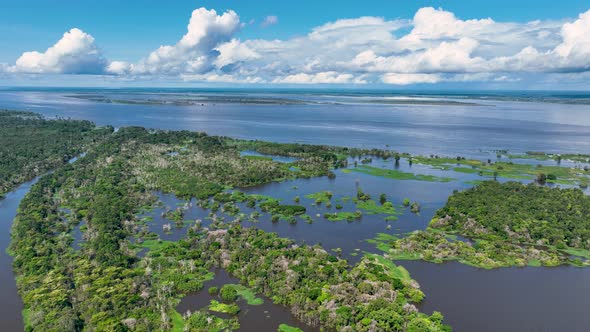 Stunning landscape of Amazon Forest at Amazonas State Brazil.