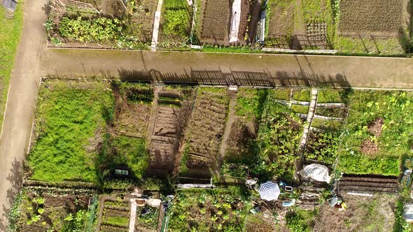 Flying Over Community Garden