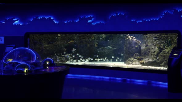 Aquarium