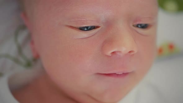 Newborn Baby Waking Up and Opening Eyes