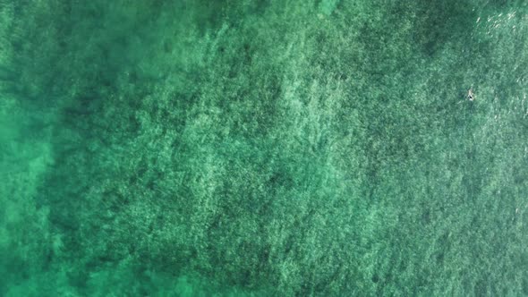 Surfer moves to the best waves on the crystal clear water of the ocean