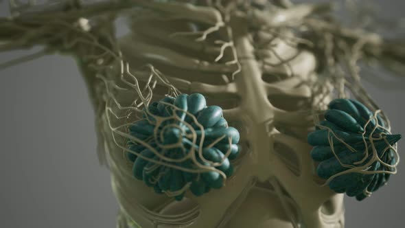 Medical Scan of Woman Breast Cancer alt