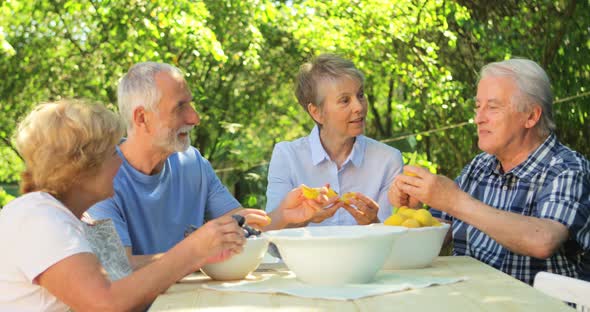 Senior couples removing seeds of apricot fruits in garden