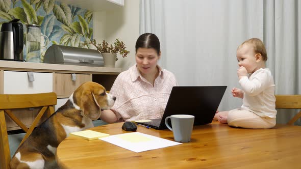 It Is Hard To Work From Home. Young Mother Try To Do Some Job