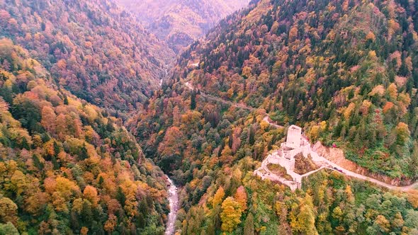 Historic Castle and Autumn