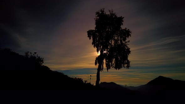 Time Lapse At Sunset In The Mountains With A Birch Plant In Silhouettes