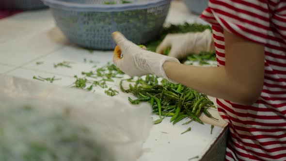 Hands of Female Merchant Kneading Green Chilli Pepper in Thai Market