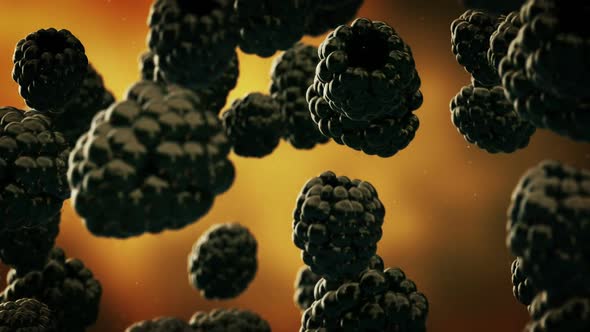 Slow motion animation of delicious blackberries falling down. Loopable. HD