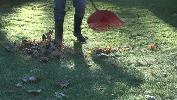 Male Worker Broom Autumn Leaves at Frosty Morning in Garden