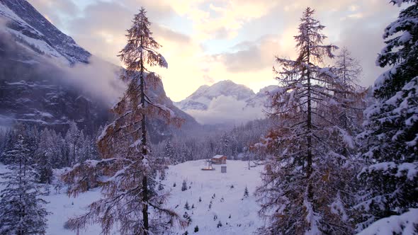 Gentle Flying Views Through the Swiss Winter Landscape Trees