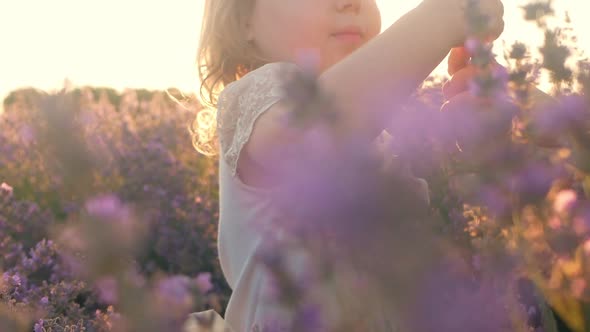 a Child in a Lavender Field at Sunset