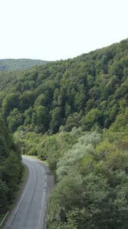 Carpathian Mountains