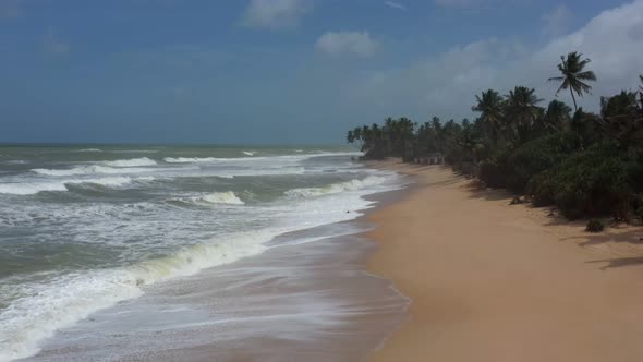 beach with waves and palm trees in cloudy weather