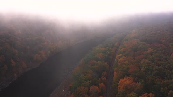 River in the forest during sunset