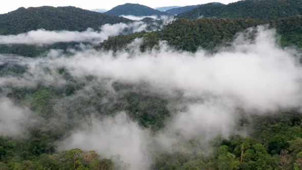 Aerial drone view of mist and clouds hanging over mountainous tropical rainforest