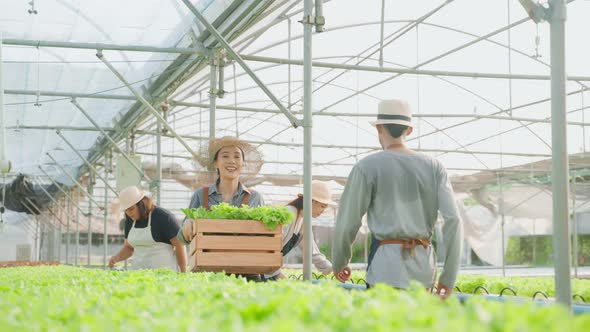 Asian beautiful woman farmer work in vegetables hydroponic green farm.