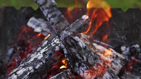 Close up of bonfire. Close up of outdoor fire burning