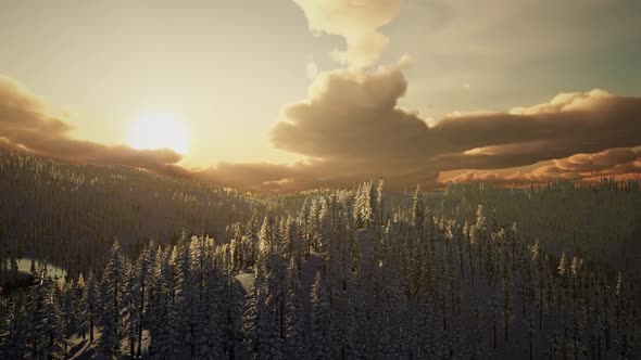 Winter Landscape on a Sunset