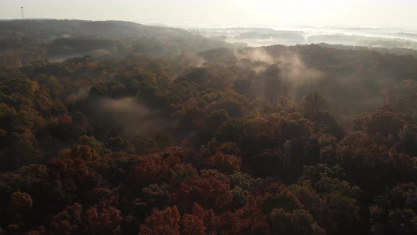 Misty lush Harrisburg Illinois Shawnee National forest