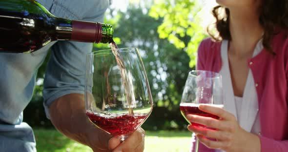 Happy Couple Having Red Wine in Park