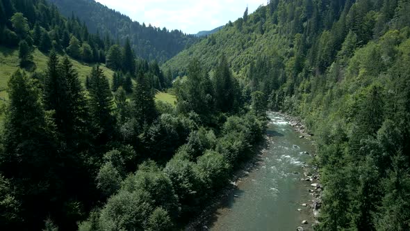 Aerial View of Mountains River Creek in the Forest