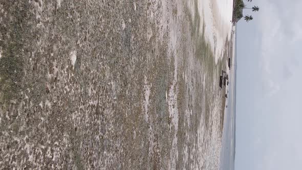 Zanzibar Tanzania  Vertical Video of Low Tide in the Ocean Near the Coast Slow Motion