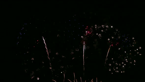 Colorful Firework display at night on sky background