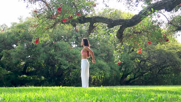 Young Woman Practicing Yoga Performing Succession of Asanas in a Green Park under a Tree