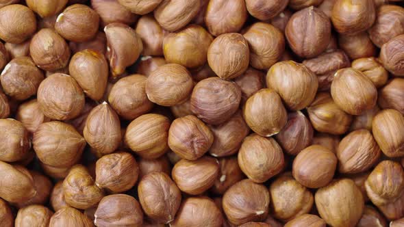 Top View of the Rotating Peeled Hazelnuts