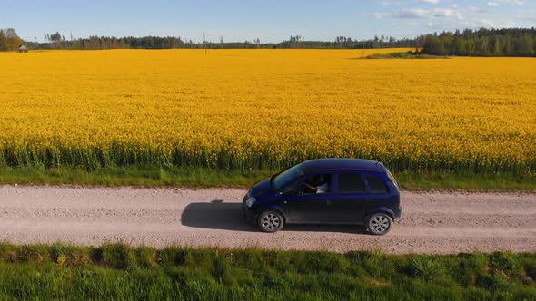 Woman in Car Waves Hand Driving Along Rapeseed Field