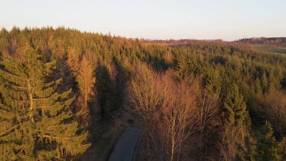 Mixed forest in west Germany during a warm and vibrant sunset. Aerial fly over shot tracking an empt