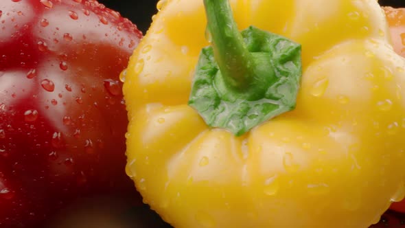 Fresh Colorful Peppers Closeup Macro Shot of Vegetables and Water Drops