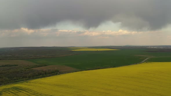 Rapeseed Plantations Under Cloudy Sky 13