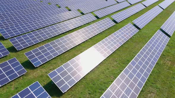 Flight Over a Field of Solar Panels in Sunny Summer Day